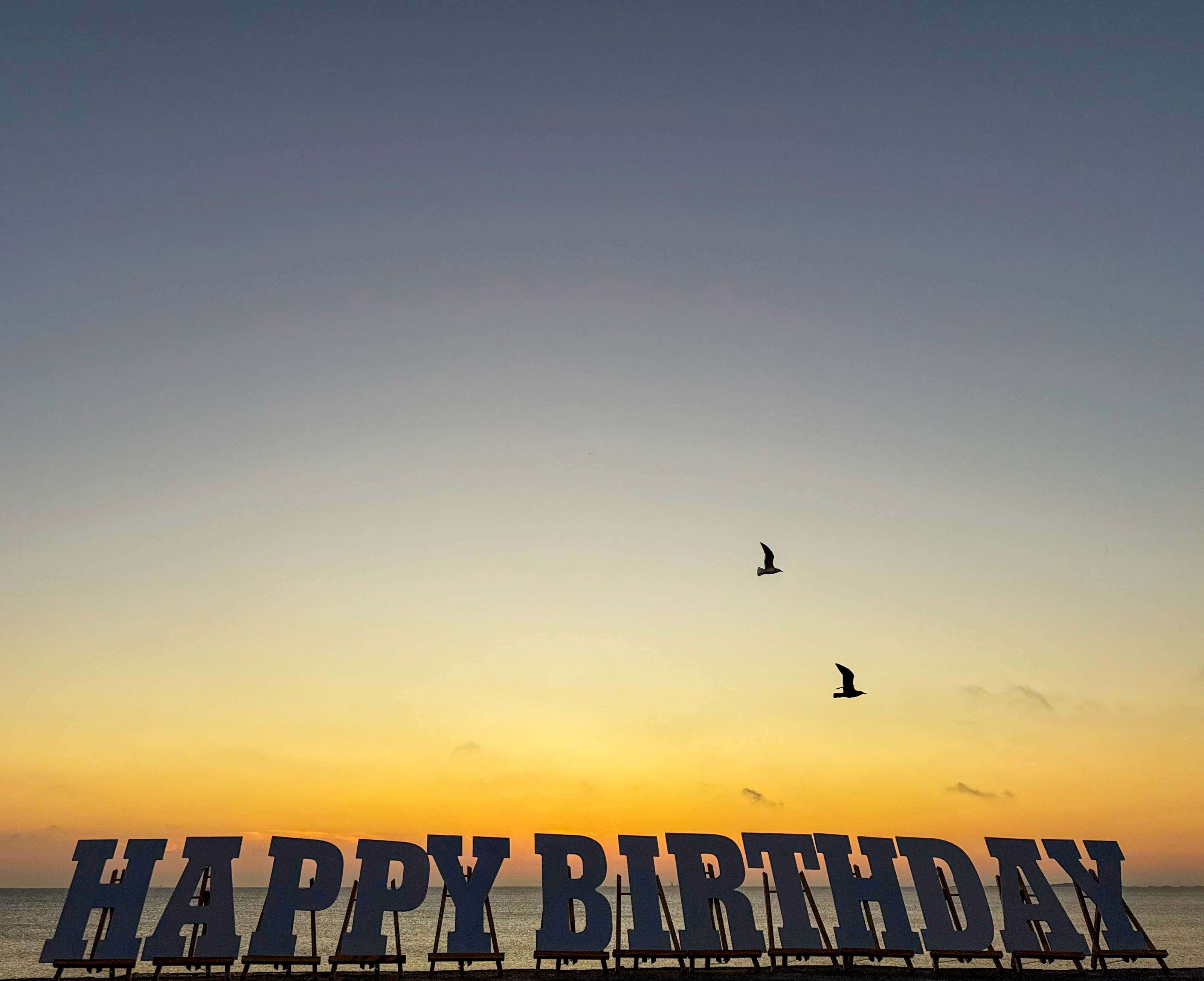 Sunrise Seagulls Birthday 