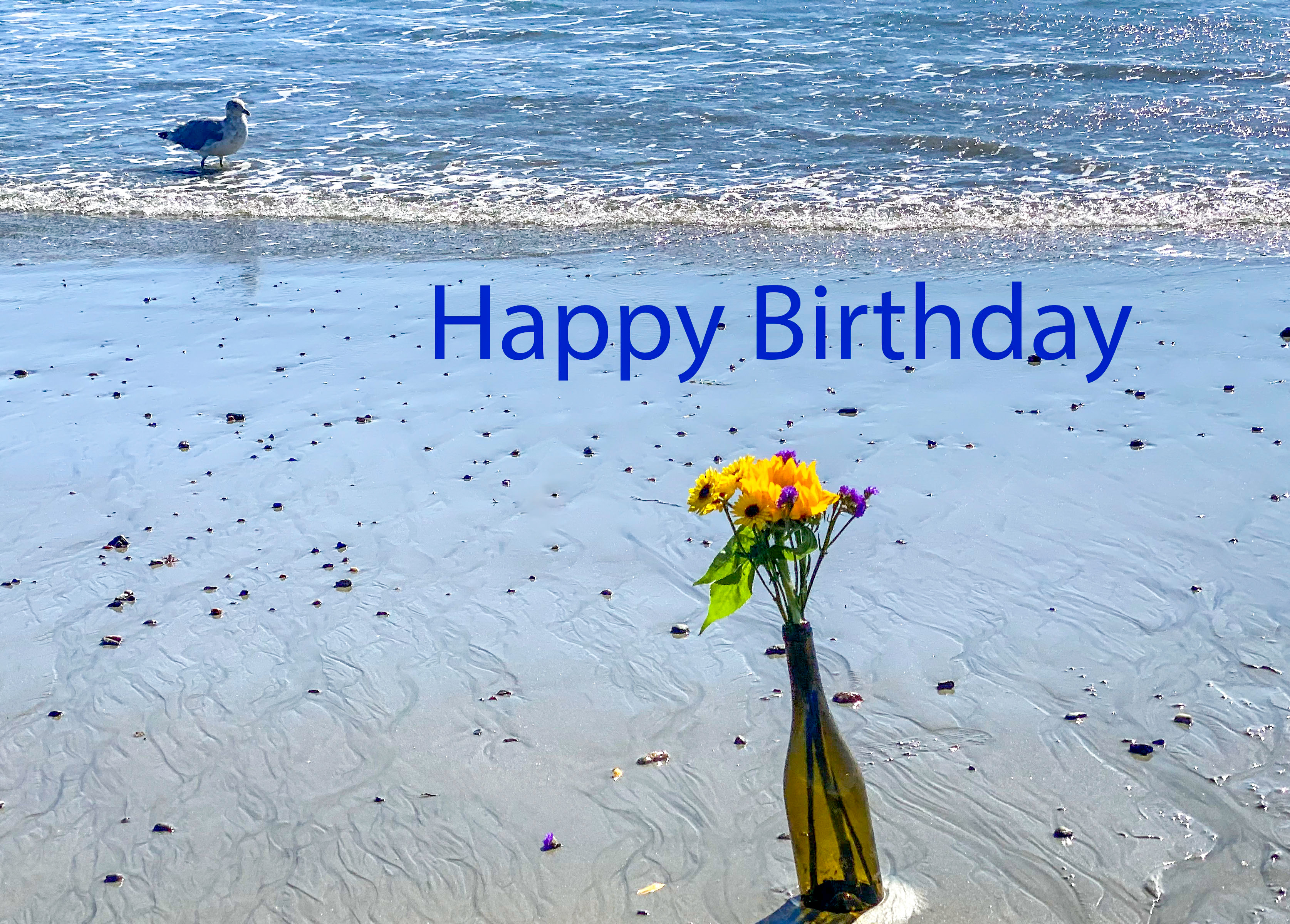 Beach Seagull with Flowers Birthday Card 