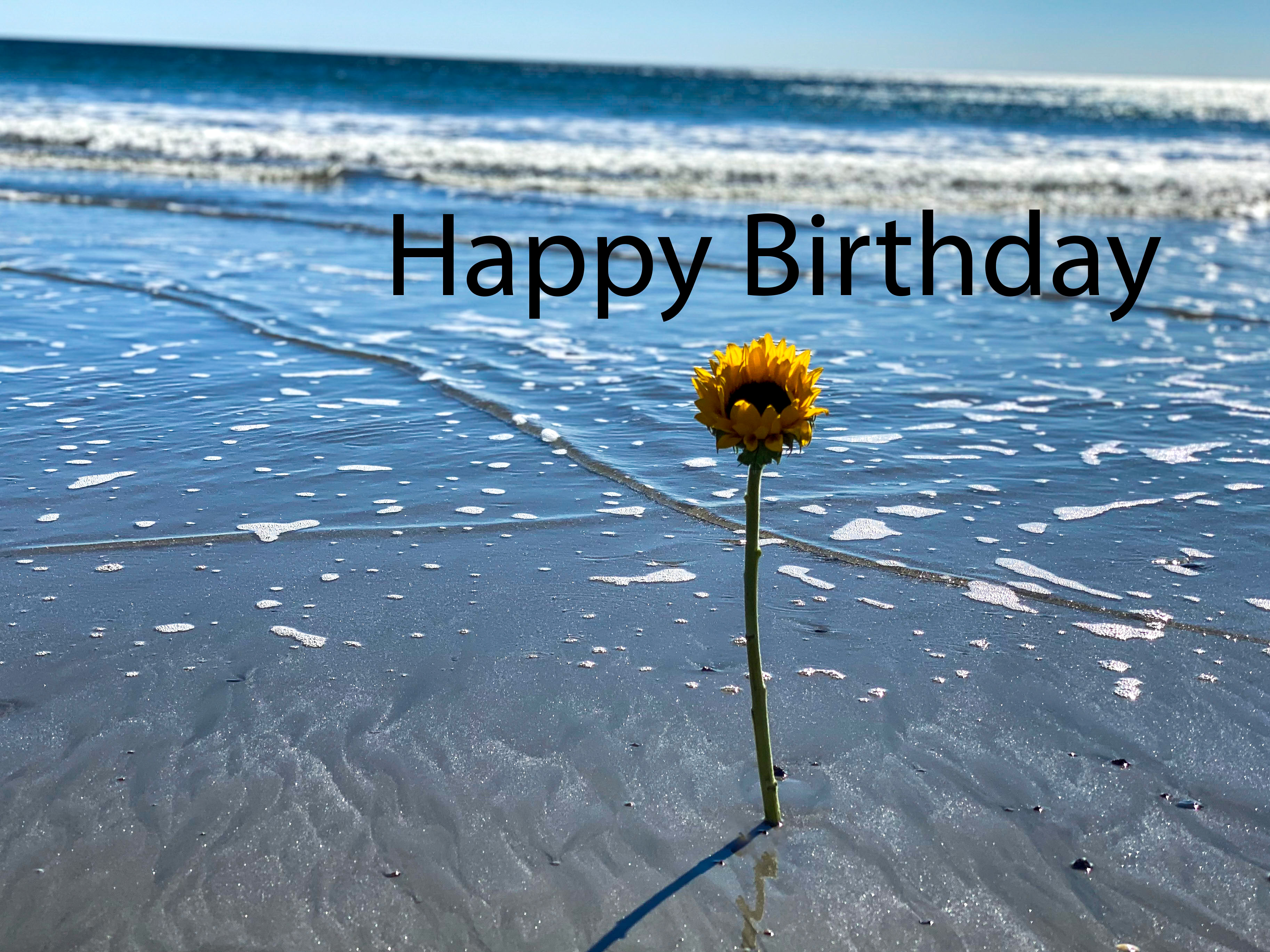 Seaside Flower Birthday Card