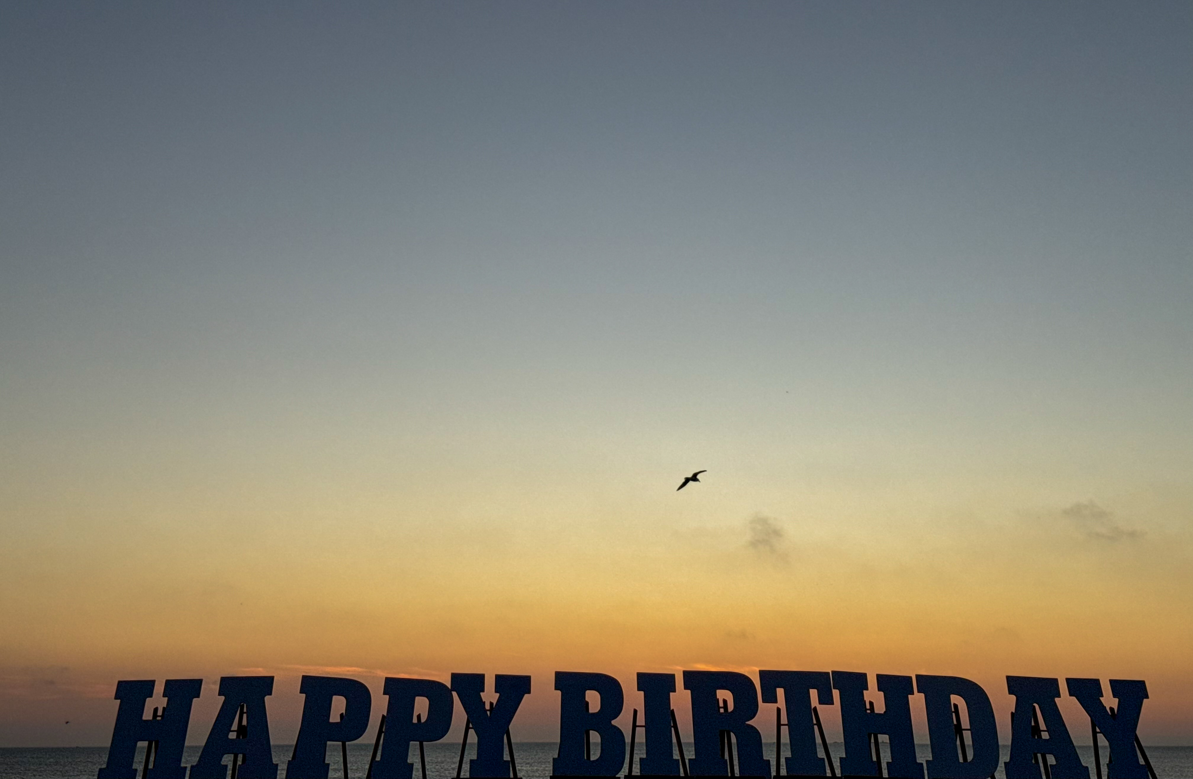 Sunrise Seagull Birthday Card