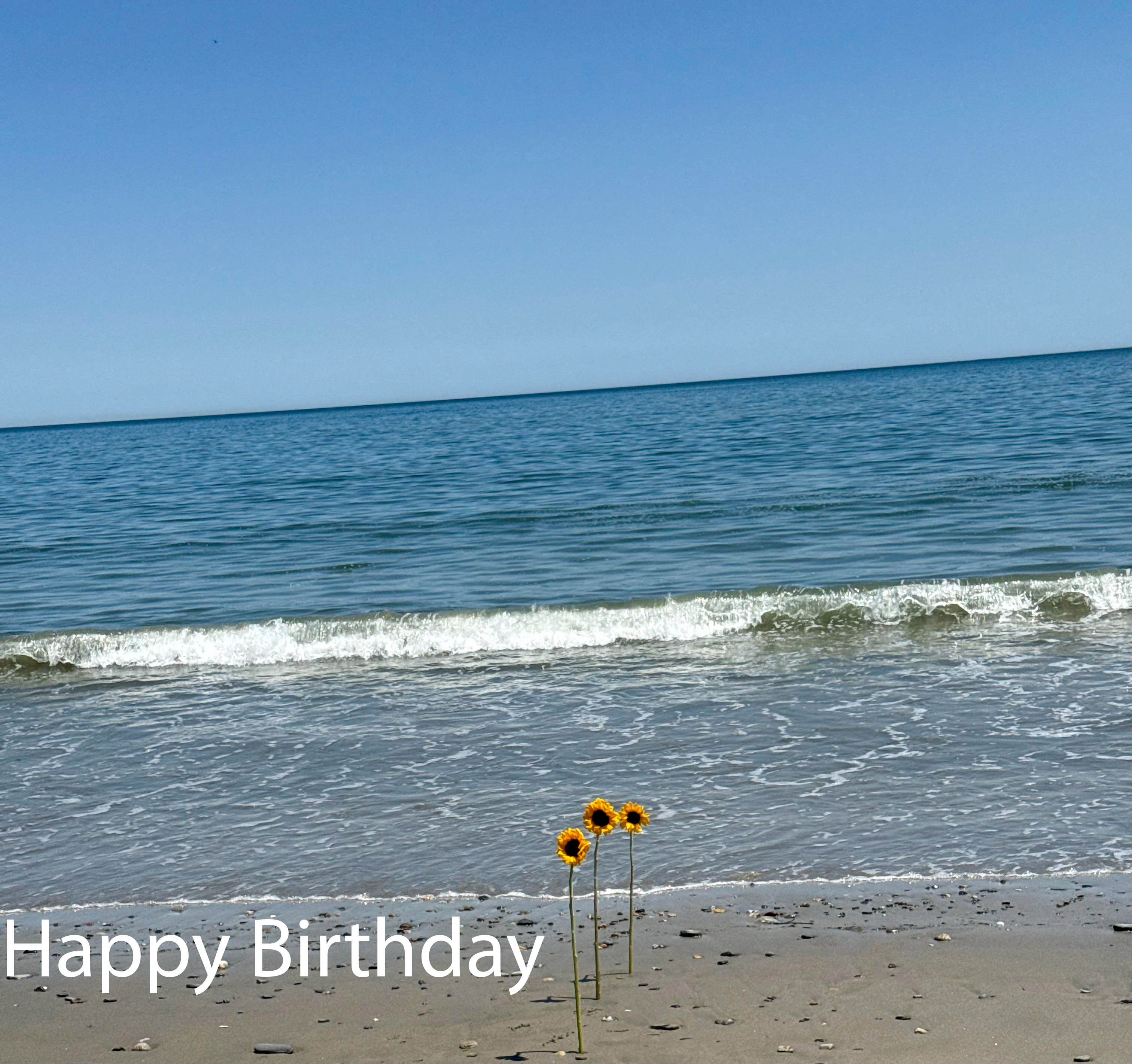 Beachfront Flowers Birthday Card