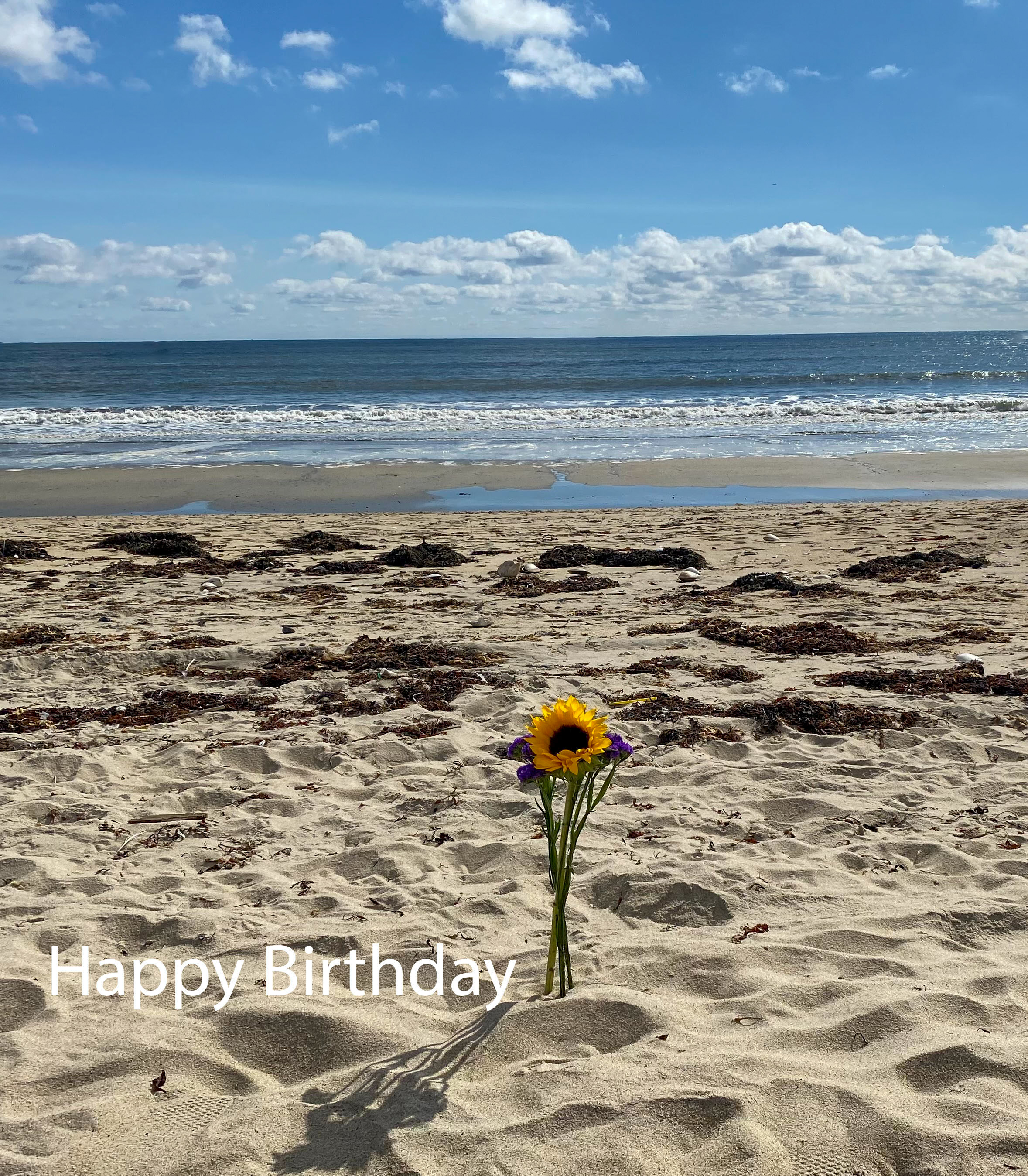 Flowers in the Sand Birthday Card.