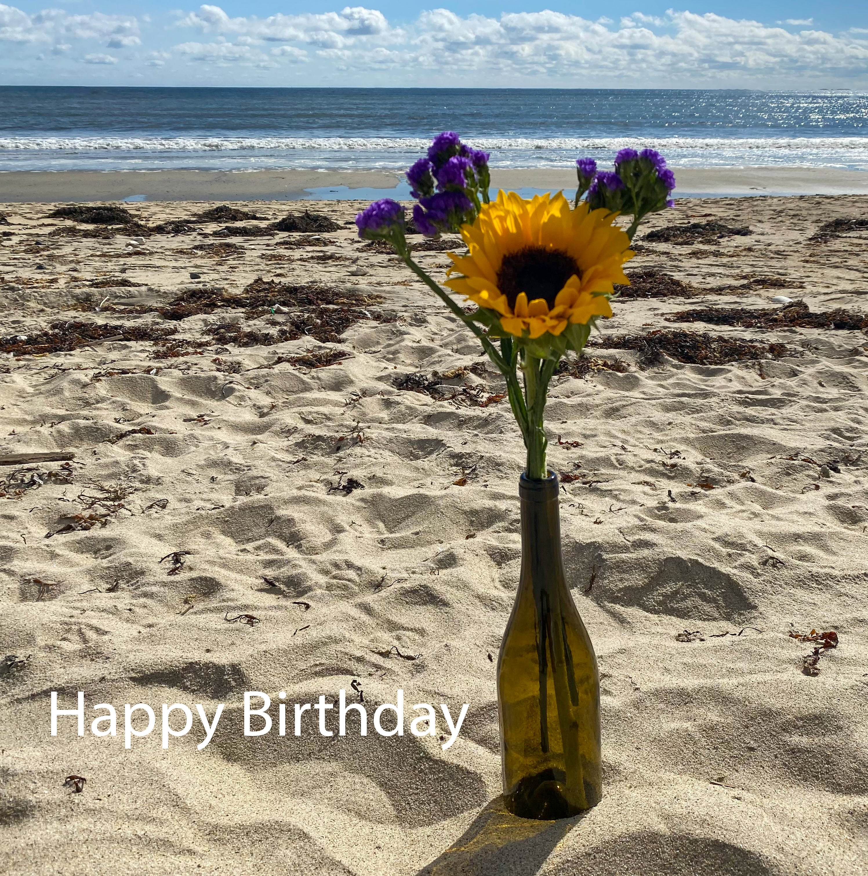 Sand Sunflower Birthday Card